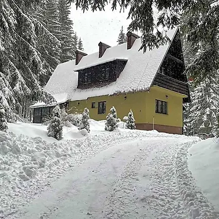 The Foresta Jasna Mountain Cabin