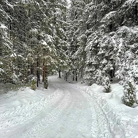 Hotel The Foresta Jasna Mountain Cabin 3*