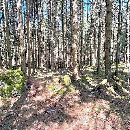 The Foresta Jasna Mountain Cabin Hotel Liptovský Mikuláš